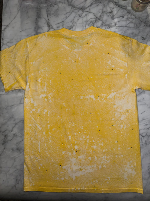 Caught up (spiderwebs)