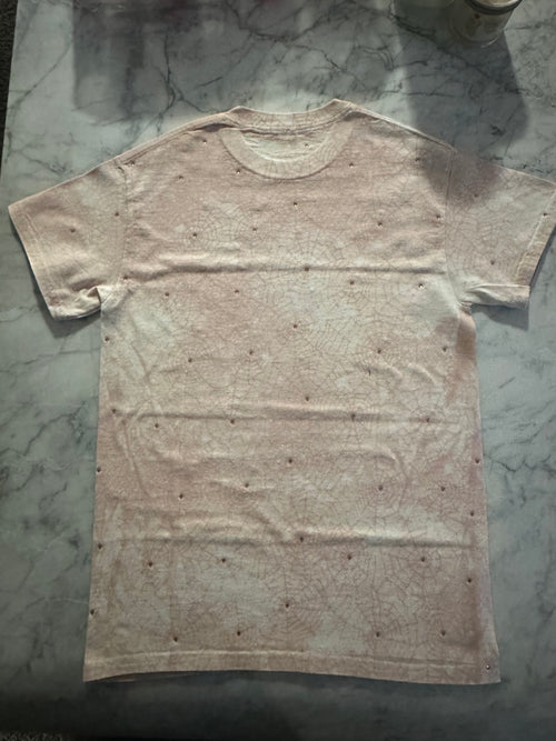 Caught up (spiderwebs)